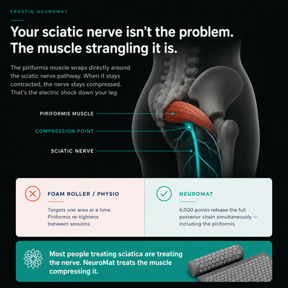 FROSTIQ NeuroMat