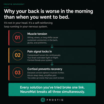 FROSTIQ NeuroMat